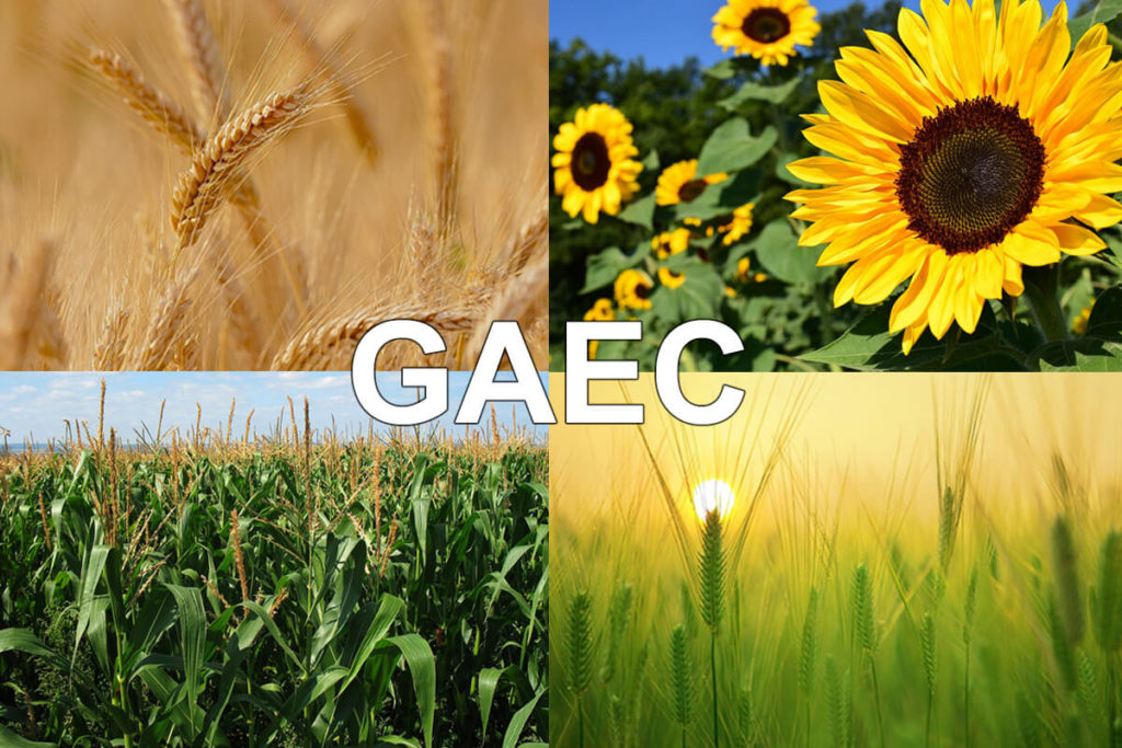 Un GAEC, c’est quoi ? Avantages, inconvénients, étapes de création…